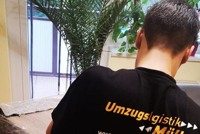 Laborumzug Elsterheide stressfrei umziehen 